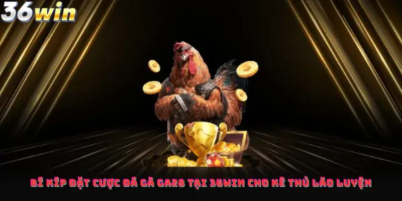 Bí Kíp Đặt Cược Đá Gà GA28 Tại 36win Cho Kê Thủ Lão Luyện