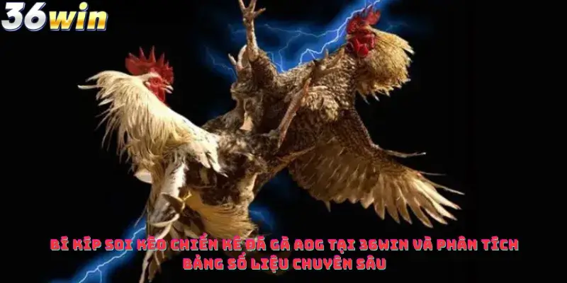 Bí kíp soi kèo chiến kê Đá Gà AOG Tại 36win và phân tích bảng số liệu chuyên sâu