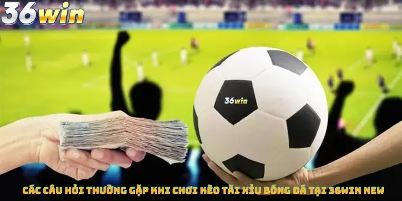 Các Câu Hỏi Thường Gặp Khi Chơi Kèo Tài Xỉu Bóng Đá Tại 36win new