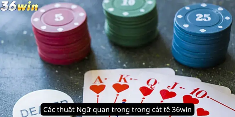 Các Thuật Ngữ Quan Trọng Trong Cát Tê 36Win