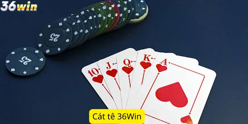 Cát tê 36Win