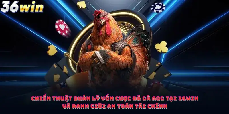Chiến thuật quản lý vốn cược Đá Gà AOG Tại 36win và ranh giới an toàn tài chính