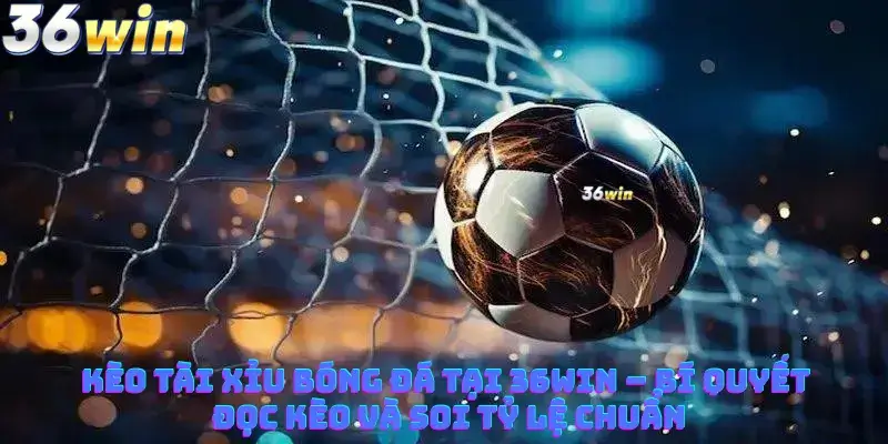Kèo Tài Xỉu Bóng Đá Tại 36win – Bí Quyết Đọc Kèo Và Soi Tỷ Lệ Chuẩn