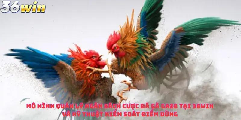 Mô hình quản lý ngân sách cược Đá Gà GA28 Tại 36win và kỹ thuật kiểm soát điểm dừng