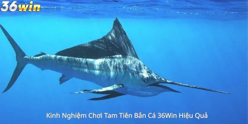 Kinh Nghiệm Chơi Tam Tiên Bắn Cá 36Win Hiệu Quả 