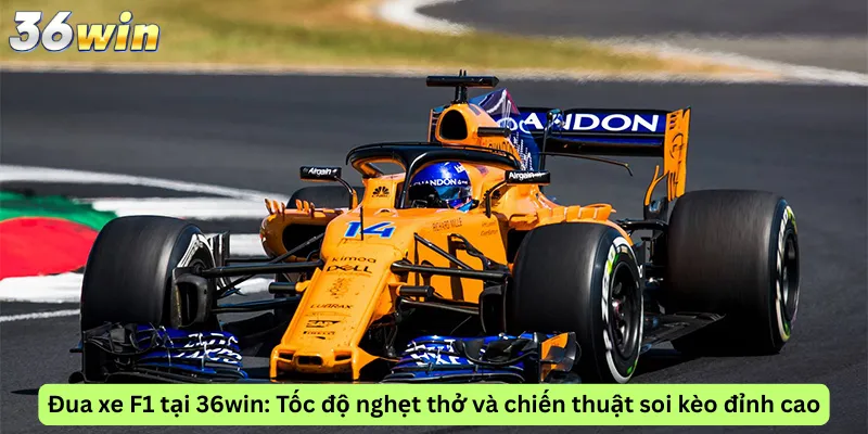 Đua xe F1 tại 36win: Tốc độ nghẹt thở và chiến thuật soi kèo đỉnh cao